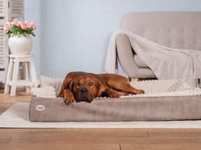 Hundebett KUDDE veganes Wildleder